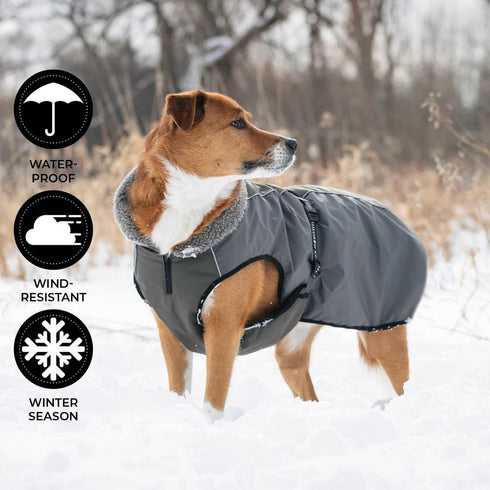 Shedrow K9 Chinook Dog Coat S Chimera - Poudre Pet & Feed Supply 5